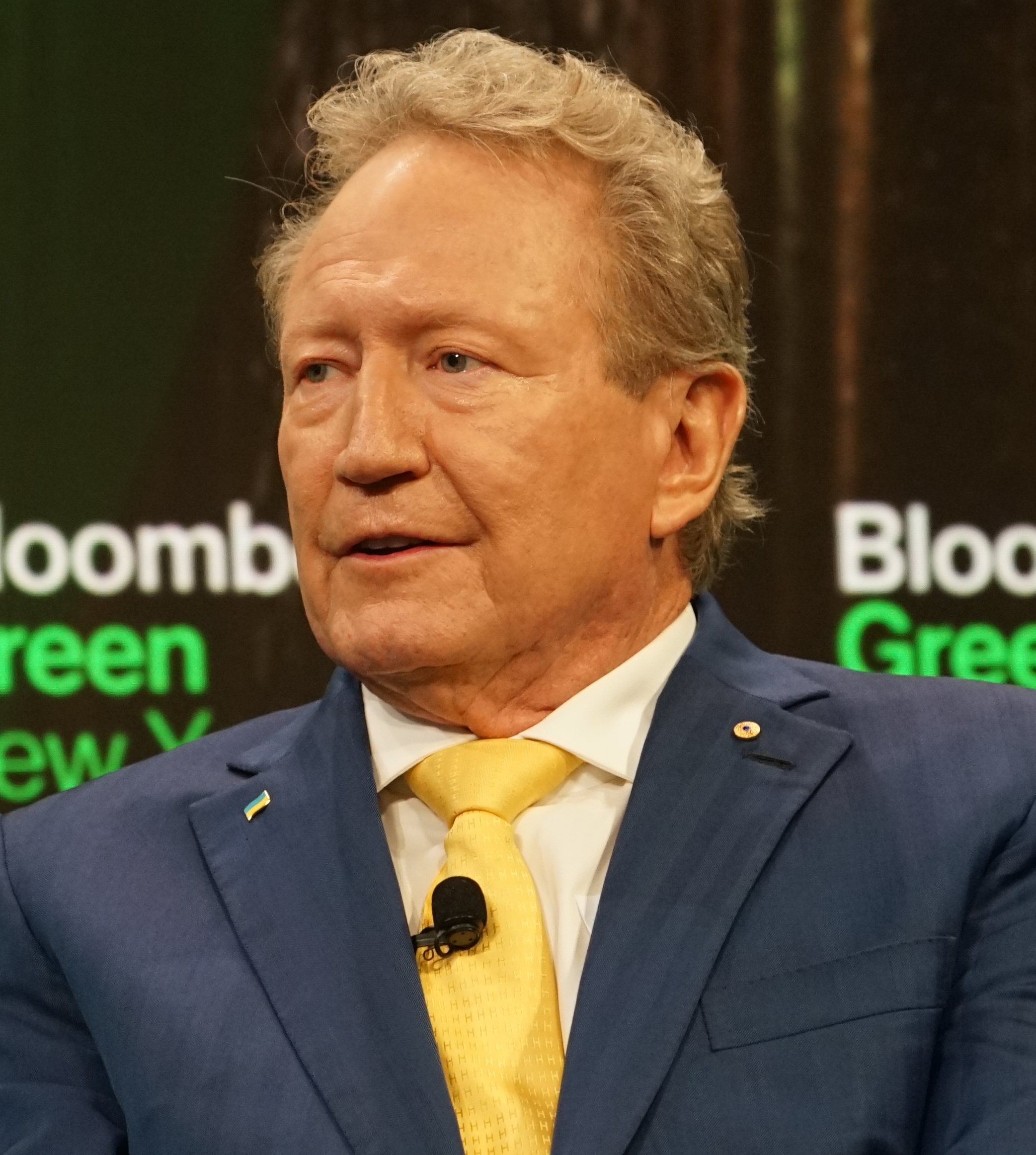 Andrew Forrest, Fortescue founder